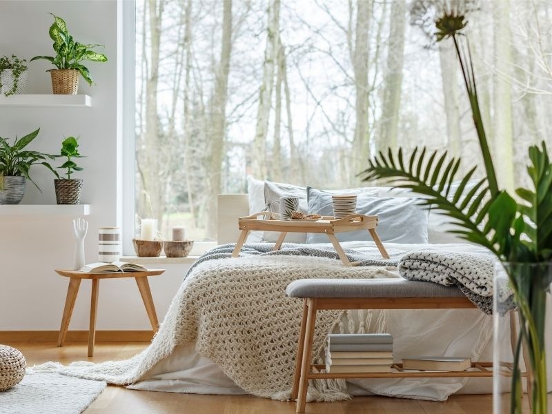 Cocooning, plants for a soothing atmosphere