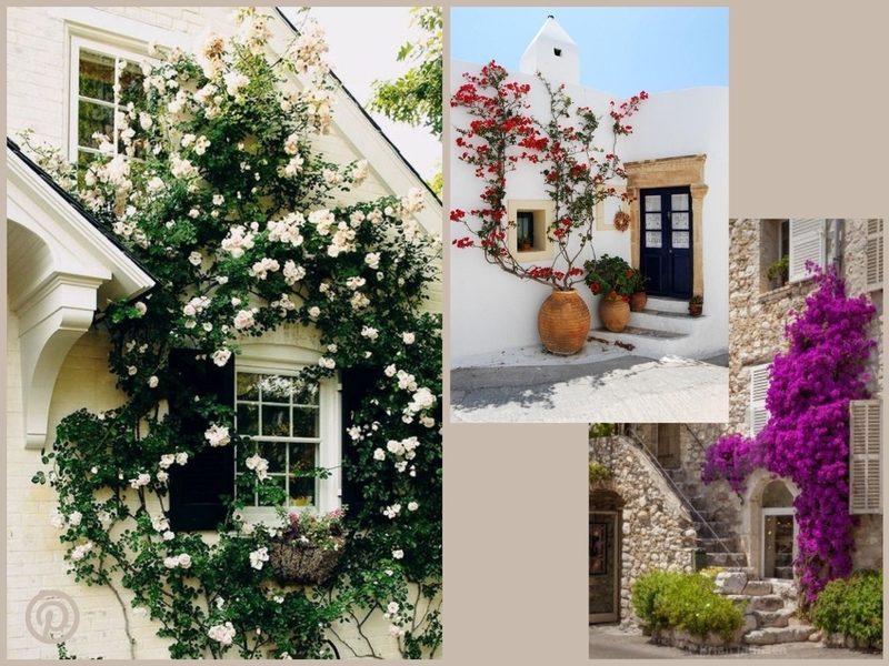 inspiration for the exterior siding of a flowered house